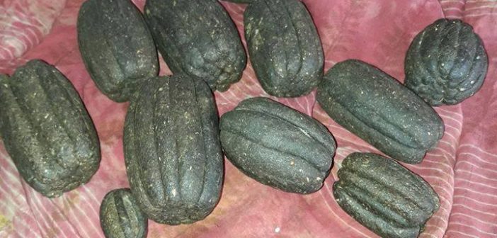 बाइस किलोग्राम चरेश बरामद